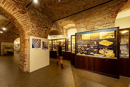 Fossil Museum - Asti Paleontological Park - Asti
